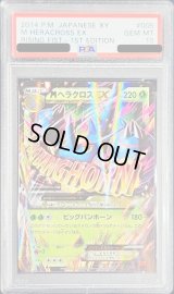 〔PSA10鑑定済〕MヘラクロスEX【RR】{005/096}