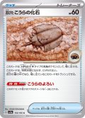 古びたこうらの化石【C】{155/165}