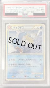 〔PSA10鑑定済〕ギャラドス【★】{023/070}