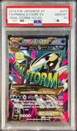 〔PSA10鑑定済〕ゲンシカイオーガEX【SR】{073/070}