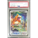 〔PSA10鑑定済〕ビッパ【AR】{204/172}