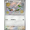 キャモメ【S】{311/190}