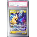 〔PSA10鑑定済〕ピカチュウ＆ゼクロムGX(クリーチャーズ25周年記念)【RR】{031/095}