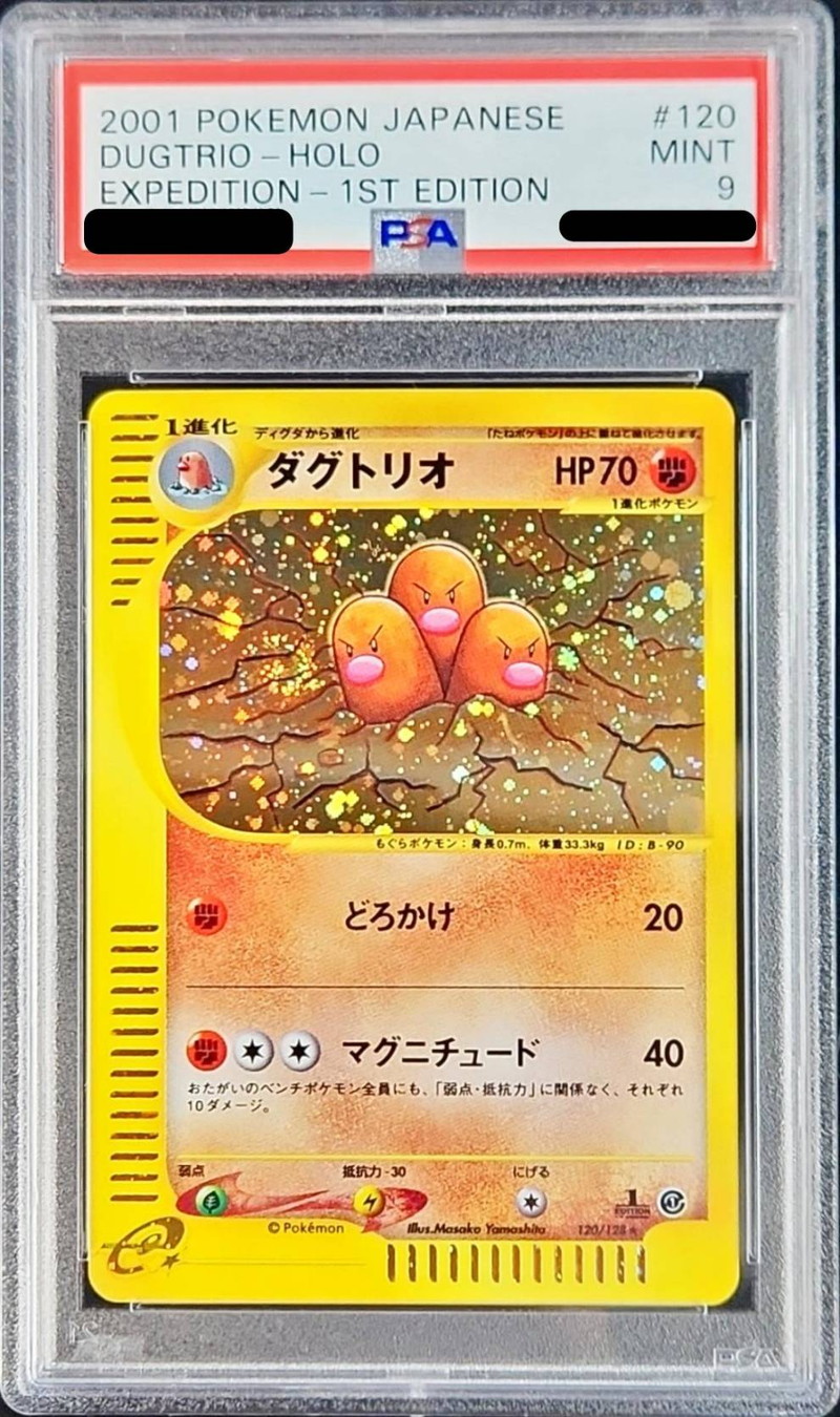 値段相談可】ポケモンカード ダグトリオ 2枚 eカード マグニチュード