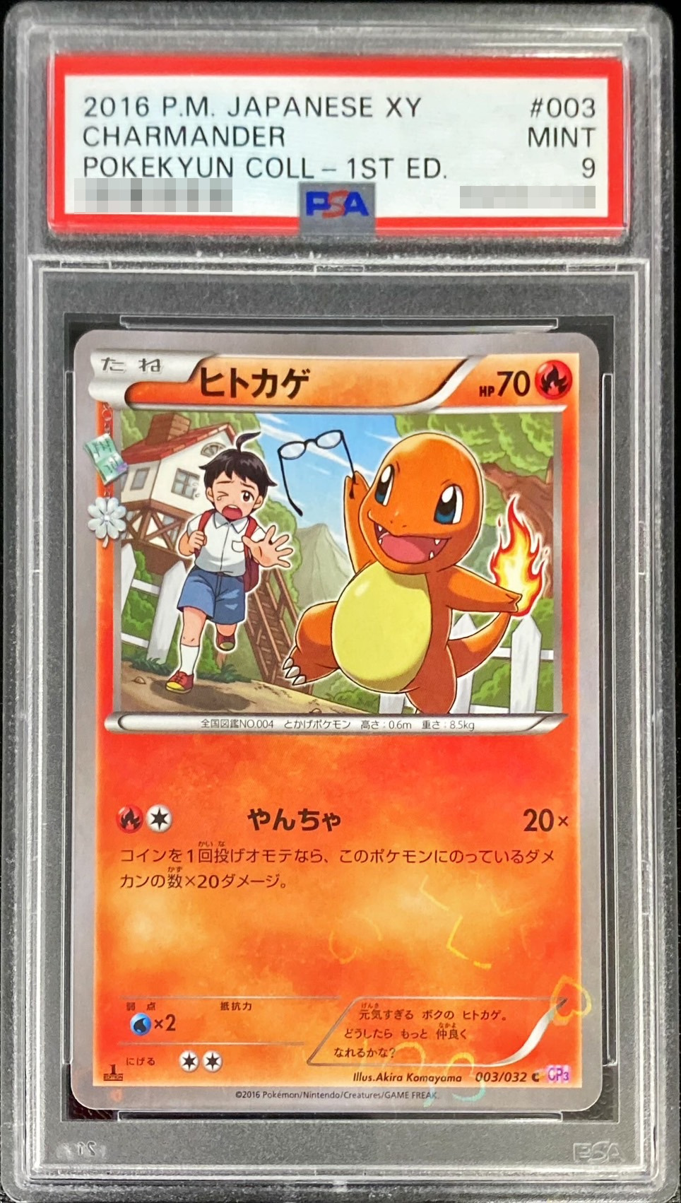 すり替えなど避けるためPSA9 ポケモンカード ヒトカゲ BWプロモ